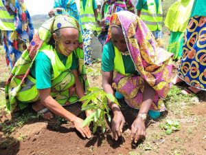 Cameroun : des femmes autochtones formées sur la restauration des ...