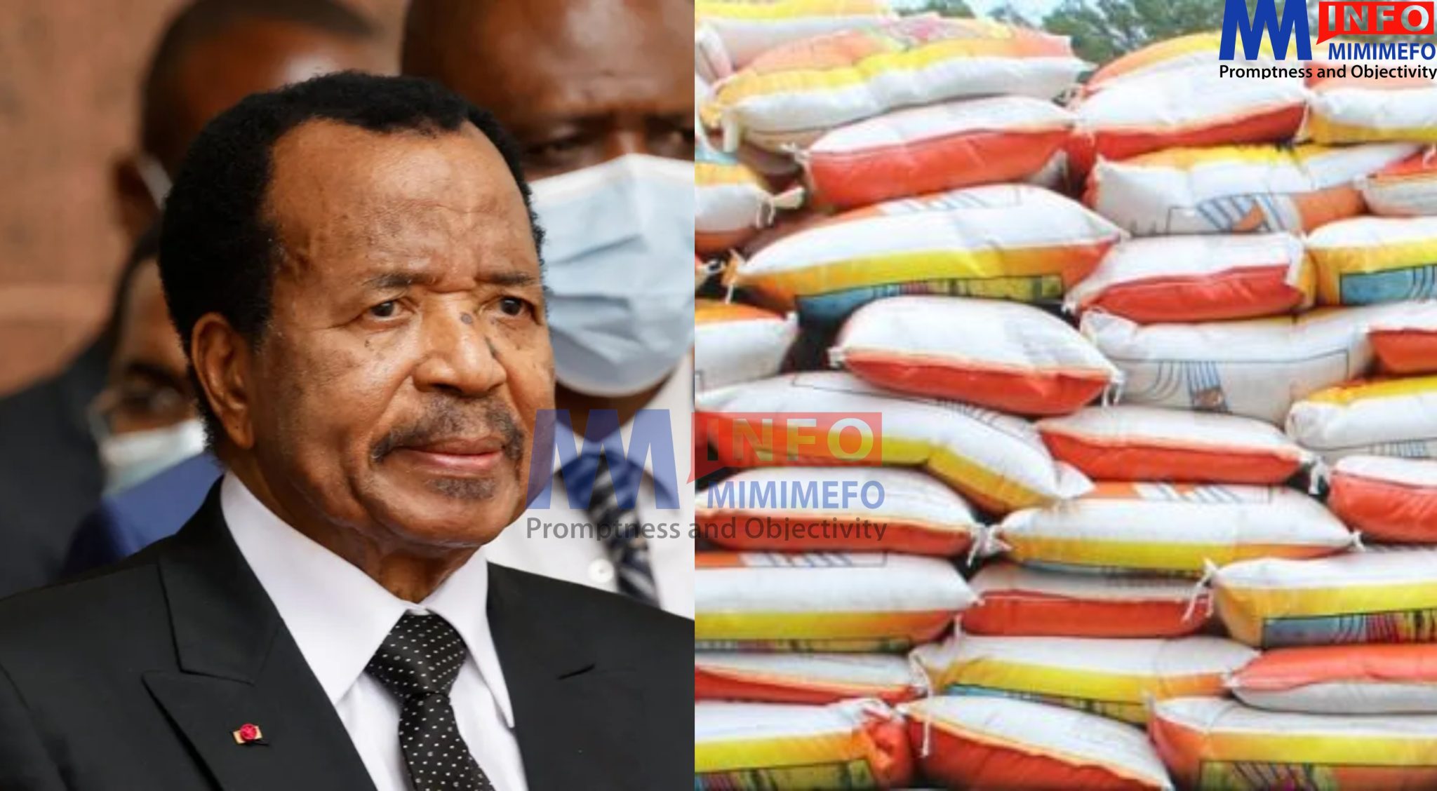 Paul Biya appelle à la substitution des importations au Cameroun, mais ...